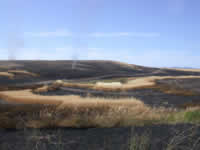 Sun 07 - Carsten wheat burned but skipped.